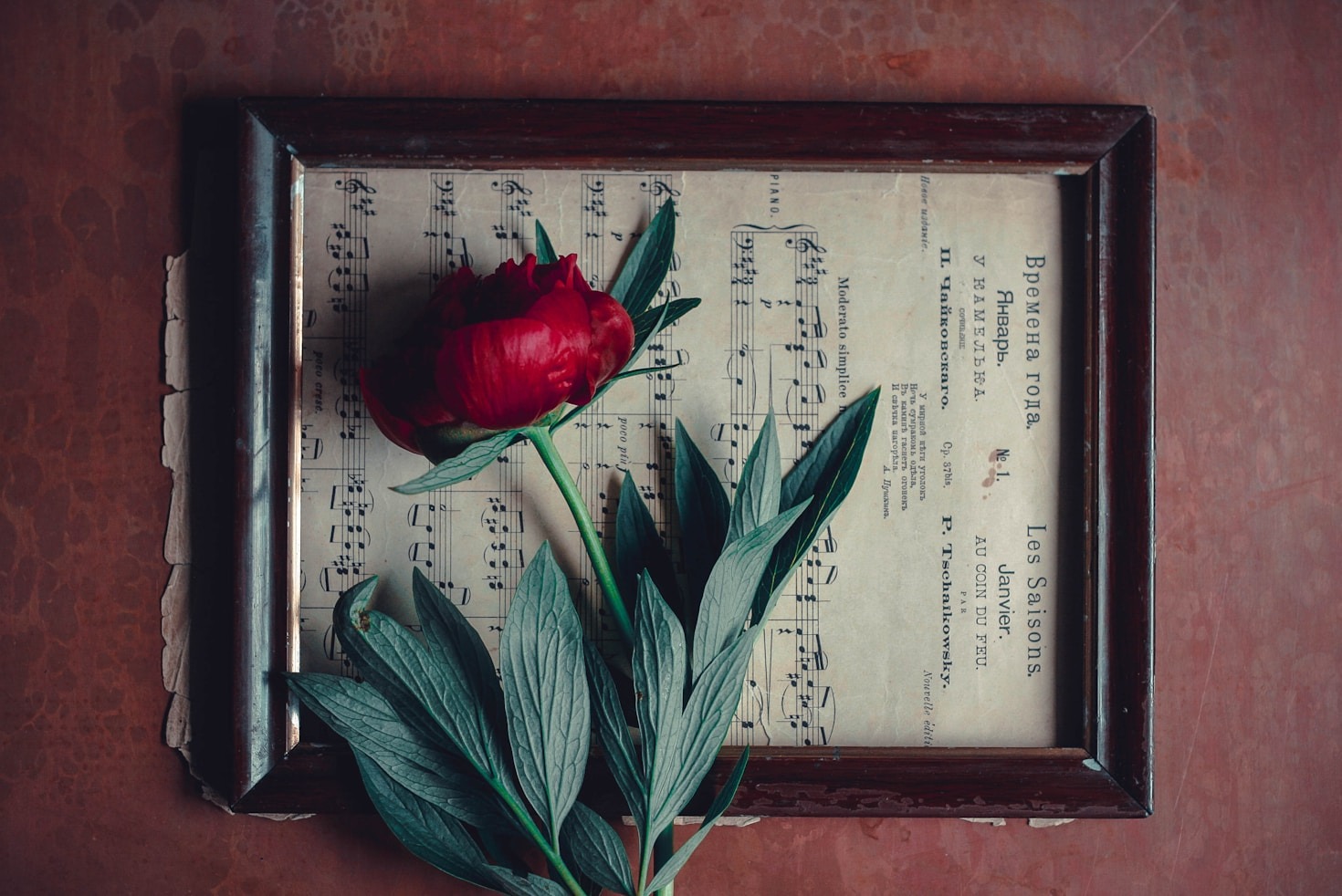 How Music Heals: Insights from Brian Pierce